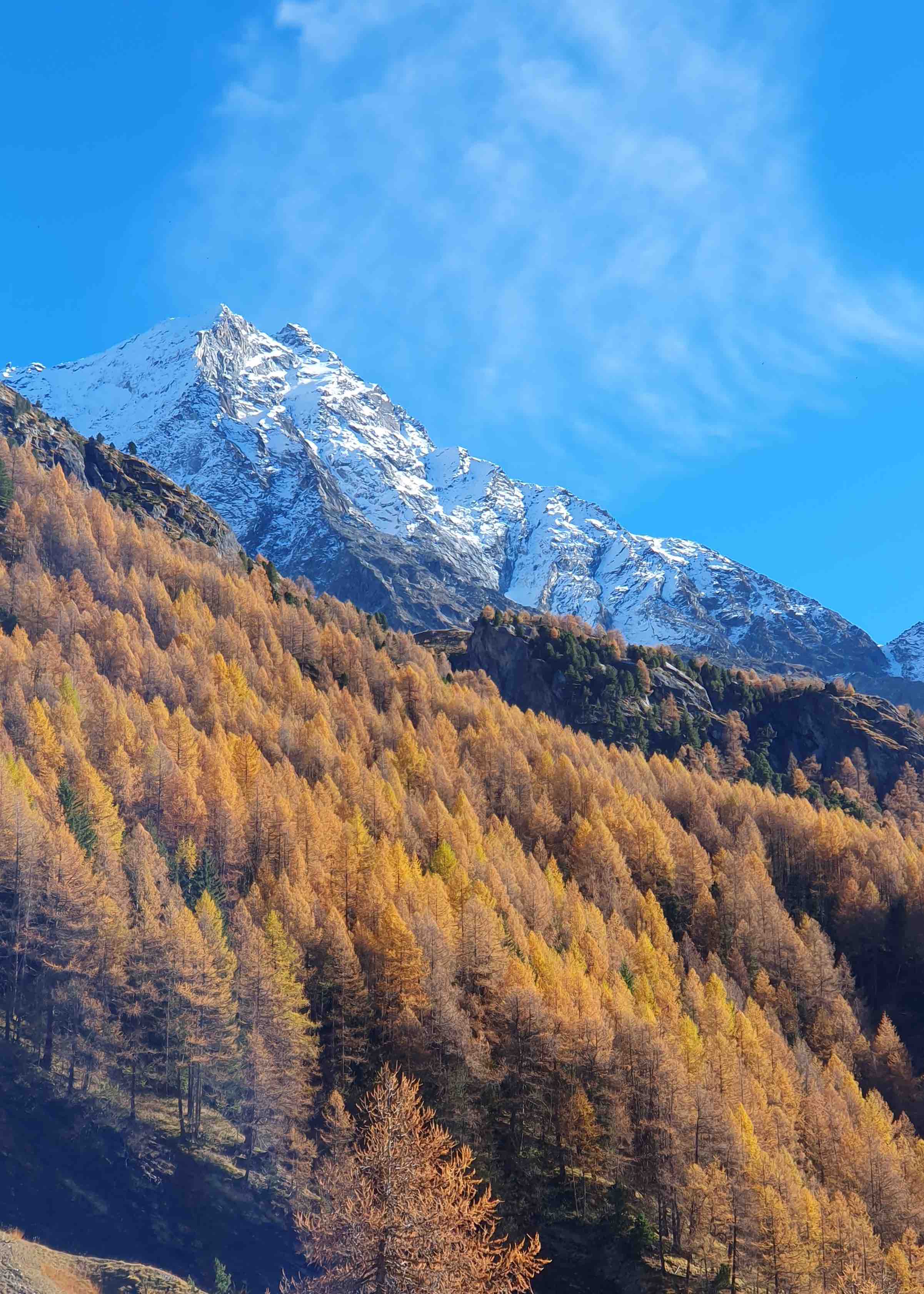 Tu es magnifique